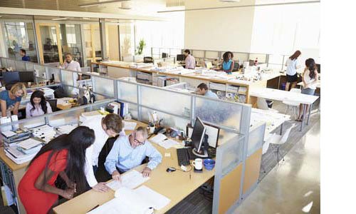 Employees at desks in open office
